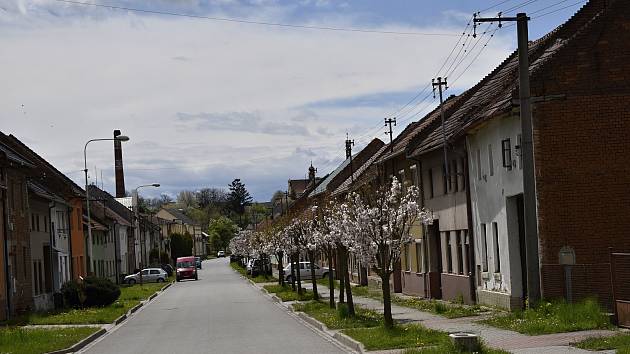 Tištín je městysem na jihu Prostějovska.