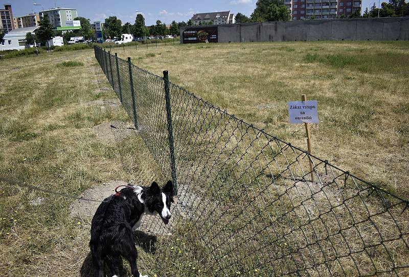 Psí loučku poblíž kruhového objezdu v Plumlovské ulici už ohraničuje zelený plot. 24.6. 2021