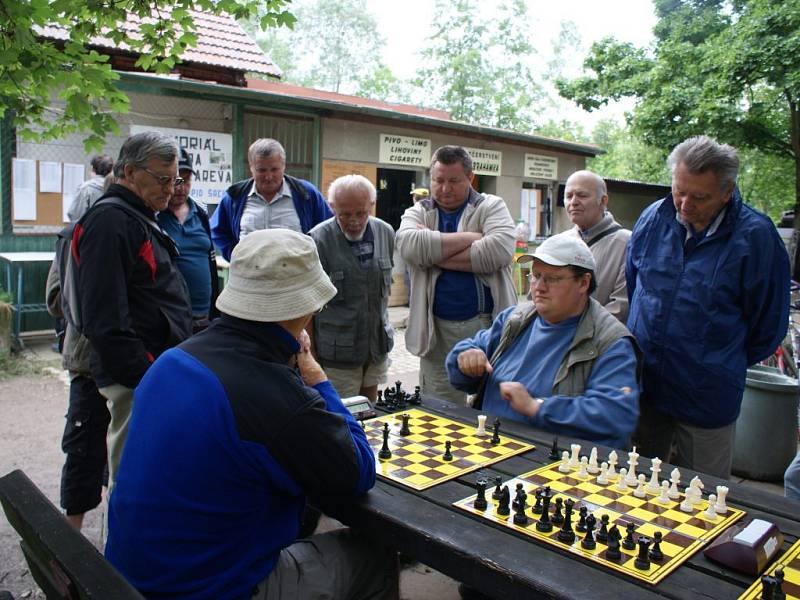 Šachisté v akci