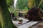 Následky bouřky z 1. července 2019 na městském hřbitově v Prostějově