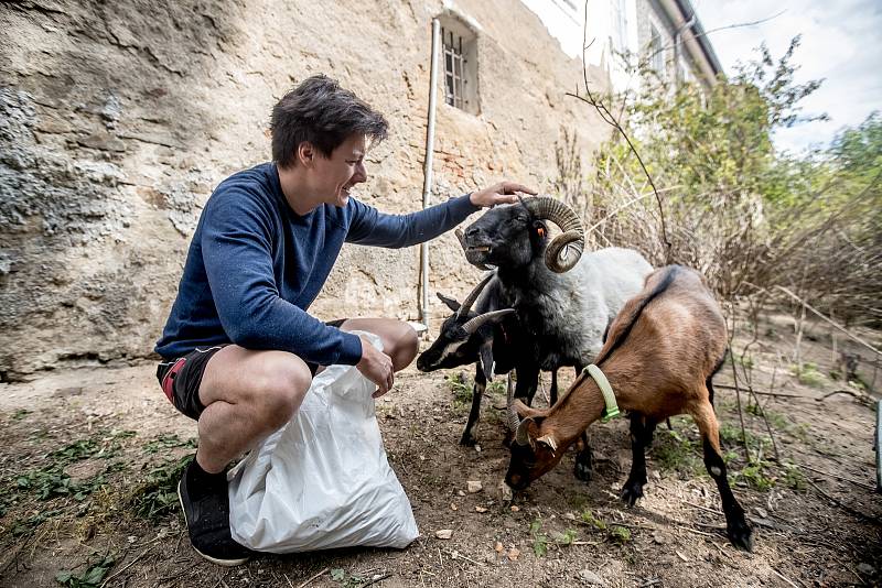 Matěj Stropnický na svém zámku v Osečanech v červenci 2019