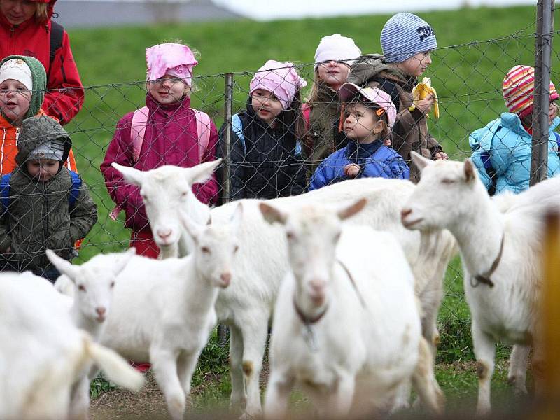 Na kozí farmě Rozinka