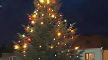 Vánoční strom v Dobromiliích