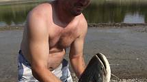Odlov ryb na plumlovské přehradě - sumec v kádi