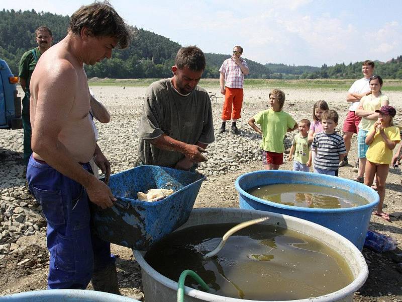 Odlov ryb na plumlovské přehradě