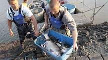 Odlov ryb na plumlovské přehradě