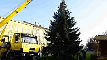 Instalace vánočního stromu v Prostějově 2019