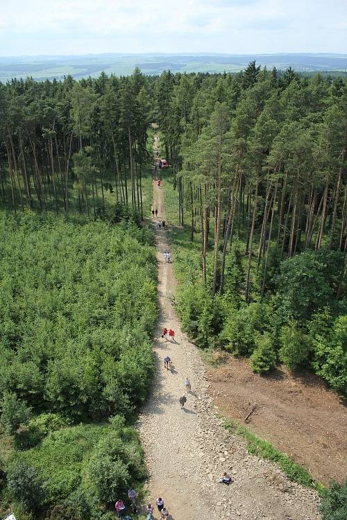 Pohled z rozhledny na Velkém Kosíři