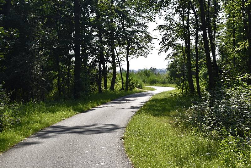 ZÁKAZ. Stezka je dávno hotová, ale oficiálně se na ni nesmí ani vstoupit. Foto: Deník/Zdeněk Vysloužil