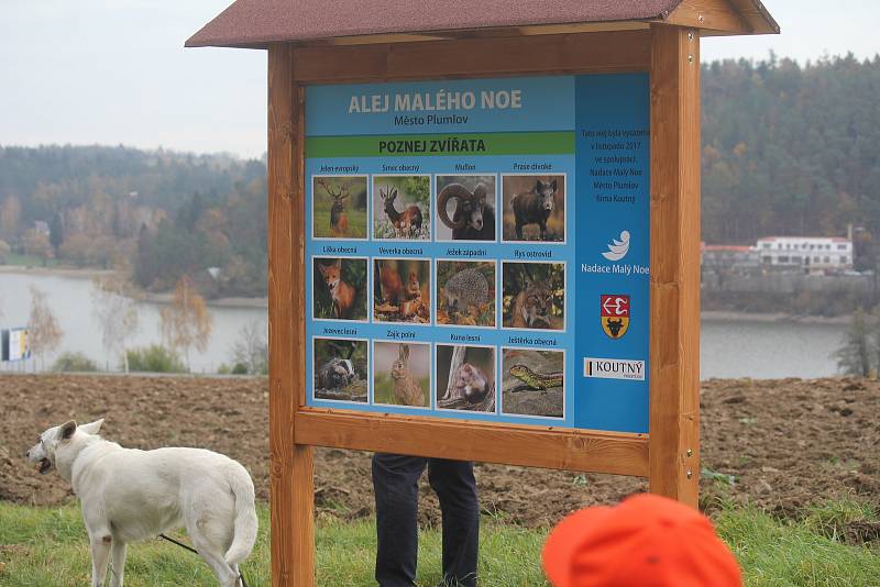 Alej malého Noe vznikla na staré cestě k přehradě v Plumlově