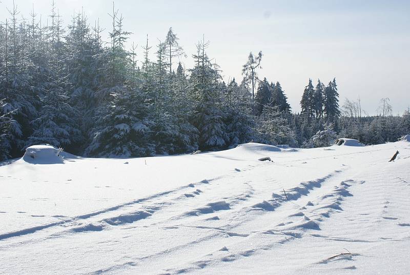 Zima u pramene Luhy a na nejvyšších partiích Drahanské vrchoviny - 15. 2. 2021