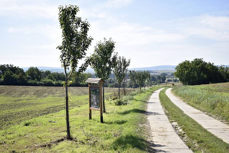 Němčice nad Hanou