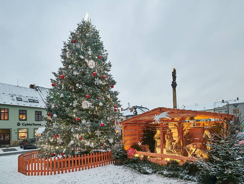 Vánoční strom 2020 na náměstí Svobody v Mohelnici. Jde o jedli, kterou daroval městu pan Miroslav Smolka z obce Klopina