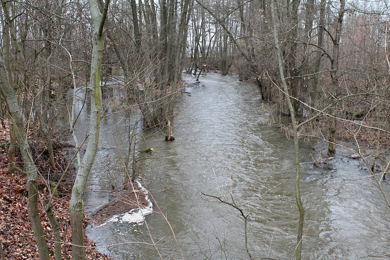 Rozvodněná Hloučela - 5. 2. 2020