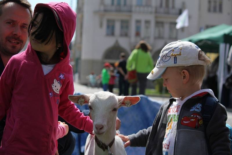 Den Země spojený s Ekojarmarkem v Prostějově