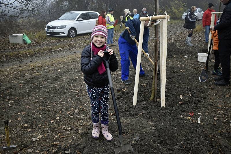 Východní část Prostějova, takzvaný cvikl v Čechůvkách, se stal místem kde se premiérově uskutečnila komunitní výsadba stromů. 13.11. 2021