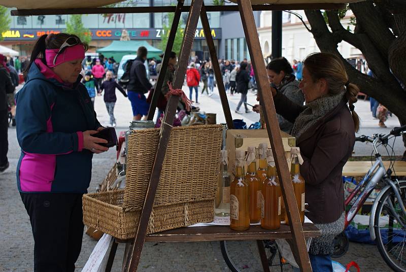 Den země a ekojarmark na náměstí TGM v Prostějově - 27. 4. 2019