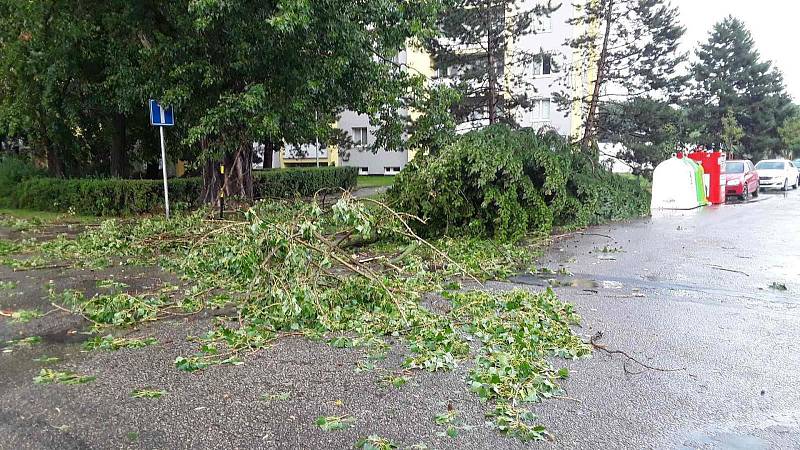 Prostějov v pátek postihla smršť spojená s prudkým deštěm. S následky se na mnoha místech města potýkali hasiči.