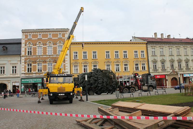 V pondělí po desáté hodině dorazil na náměstí TGM vánoční strom. Tentokrát centrum města zkrášlí smrk z Brodku u Konice.