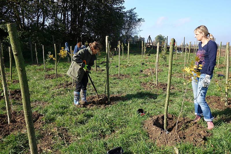 Sázení mladých stromků a keřů ve Vrchoslavicích v sobotu 12. října 2019