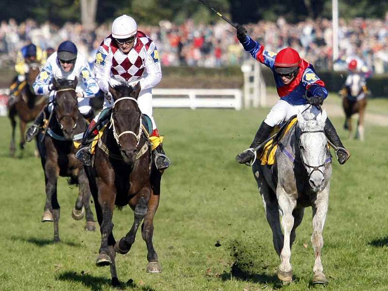 Mandarino na Velké pardubické (vlevo - jezde v bílém dresu s modrou čapkou)