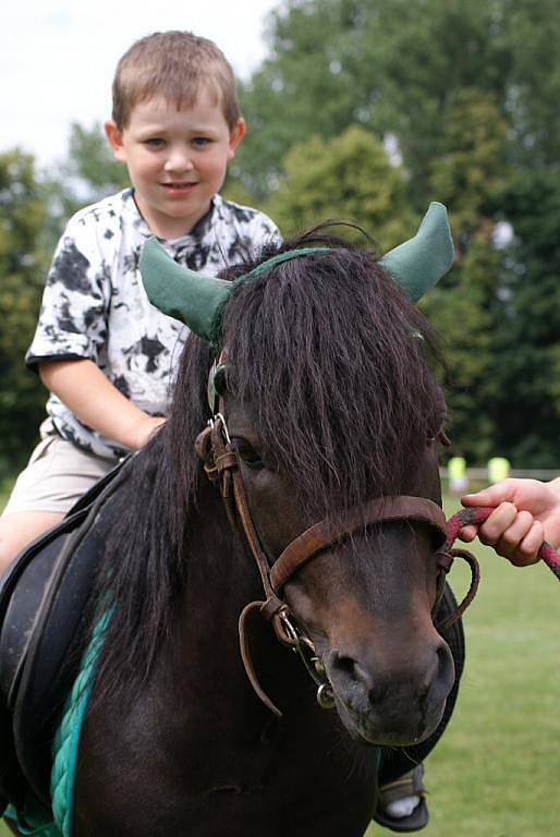 Projížďky na koni