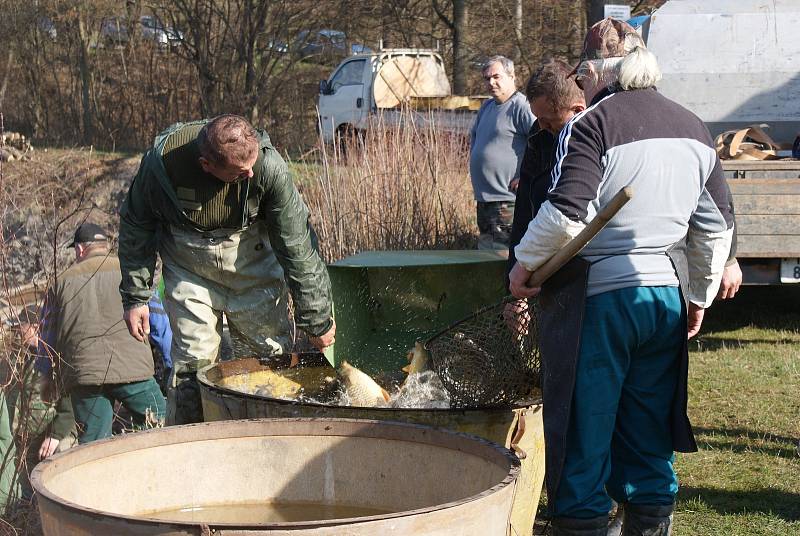 Výlov hamerského rybníka - 30. 3. 2019