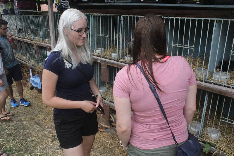 Výstava drobného zvířectva v Plumlově