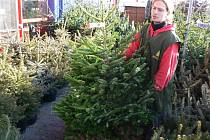 Janis Abu Akel při prodeji vánočních stromků v Prostějově