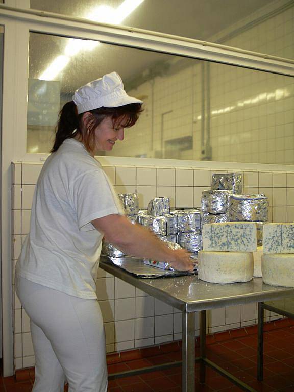 Výroba sýru Niva v Mlékárně Otinoves. Ilustrační foto