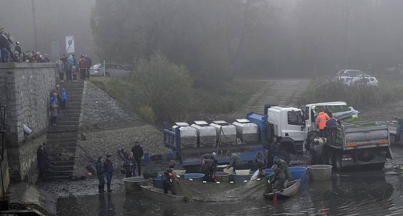 Výlov Podhradského rybníka v Plumlově, 28.10. 2021