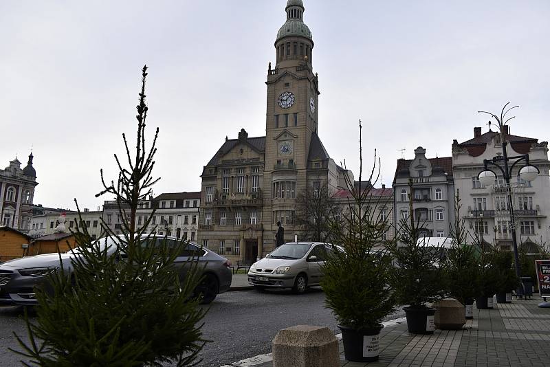 Tradice děti baví. Prostějovské náměstí T. G. Masaryka lemují desítky malých vánočních smrčků. 22.11. 2022