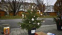 Centrální prostějovské náměstí se halí do vánočního hávu. Ozdobený už je vánoční strom a desítky malých smrčků. 26.11. 2020