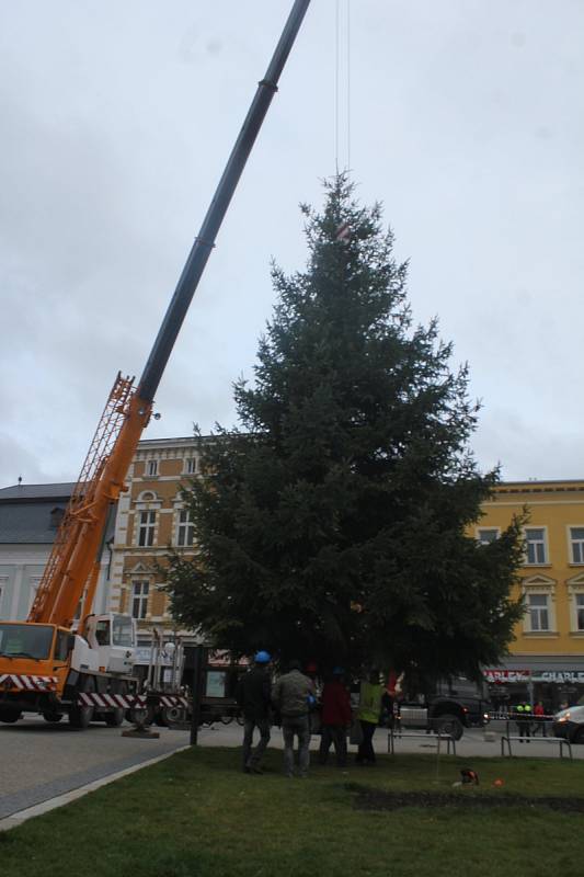 Vánoční smrk z Vrahovic už je na náměstí T. G. Masaryka. A čeká na ozdoby.