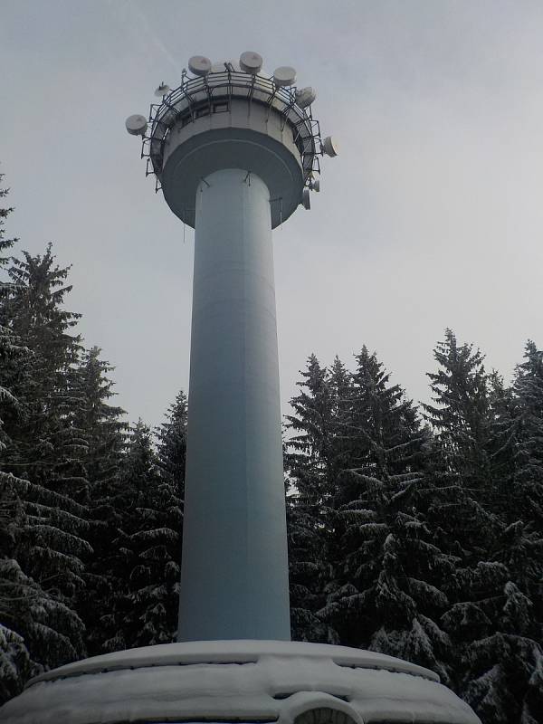 Běžkování v okolí vrcholu Skalky na Drahanské vrchovině - 27. 1. 2019