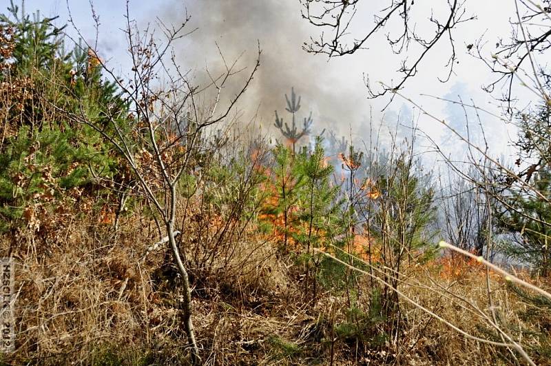 Požár lesa v Kobylničkách