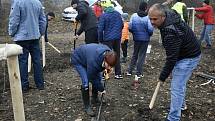 Východní část Prostějova, takzvaný cvikl v Čechůvkách, se stal místem kde se premiérově uskutečnila komunitní výsadba stromů. 13.11. 2021