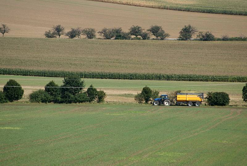 Sklizeň kukuřice na polích u Žárovic - 9. 9. 2020