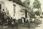 Jaro v Protivanově roku 1934 - tehdejší fotografie mojí budoucí babičky z tatínkovy strany s mladšími dětmi - byla už vdova a k obživě celé rodině sloužily hlavně dvě kravičky.