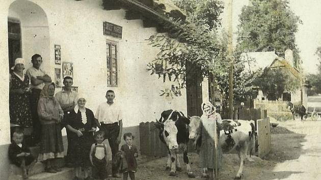 Jaro v Protivanově roku 1934 - tehdejší fotografie mojí budoucí babičky z tatínkovy strany s mladšími dětmi - byla už vdova a k obživě celé rodině sloužily hlavně dvě kravičky.