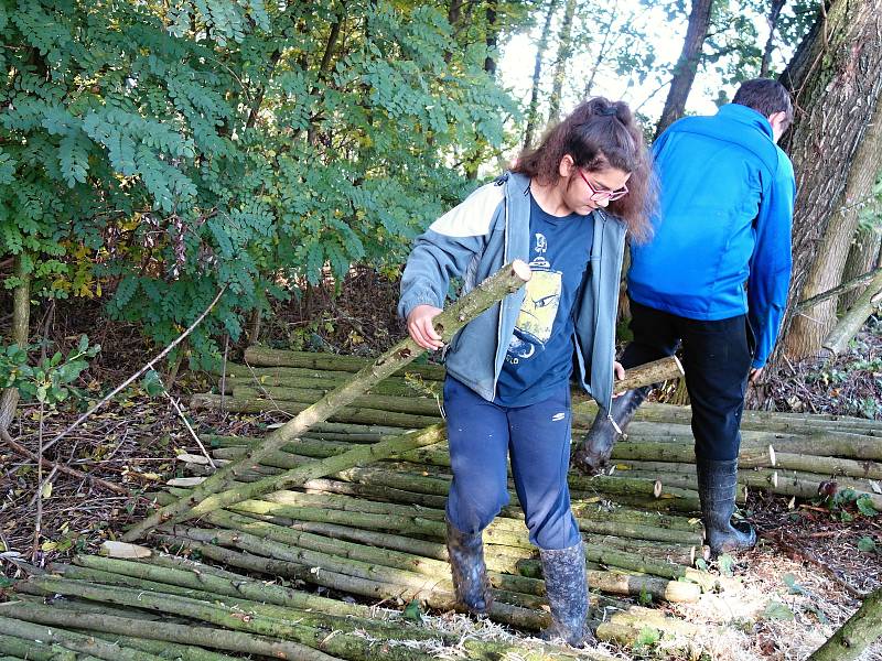 Sázení mladých stromků a keřů ve Vrchoslavicích v sobotu 12. října 2019