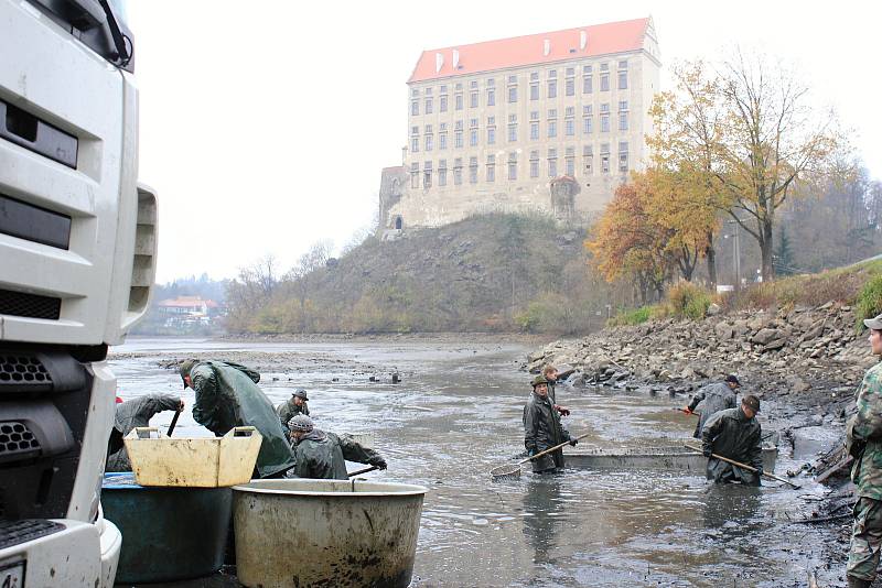 Výlov Podhradského rybníka v Plumlově - 2. listopadu 2019