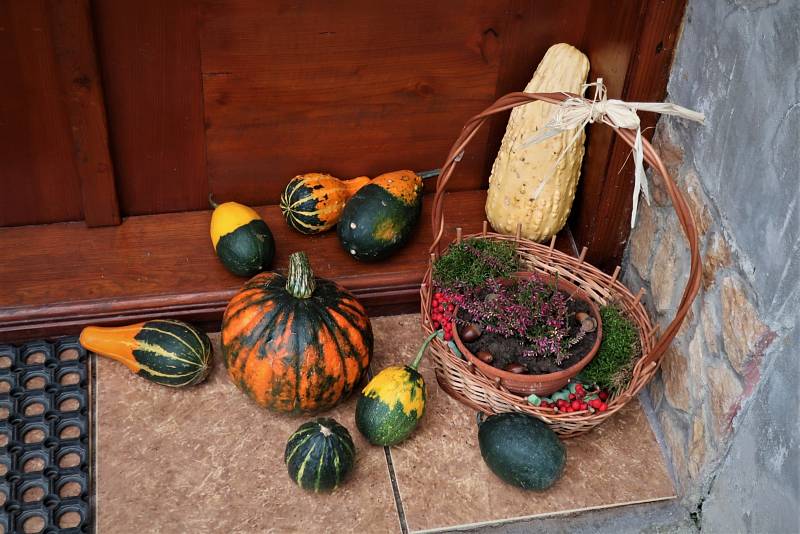 Halloweenské dýně a podzimní výzdoba