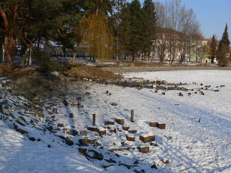 Na rybníku v Drozdovicích se letos bruslit nebude. Přestože je vypuštěný, děti jej každý den využívají ke hrám a stěhovat se zatím nehodlají ani kachny. 