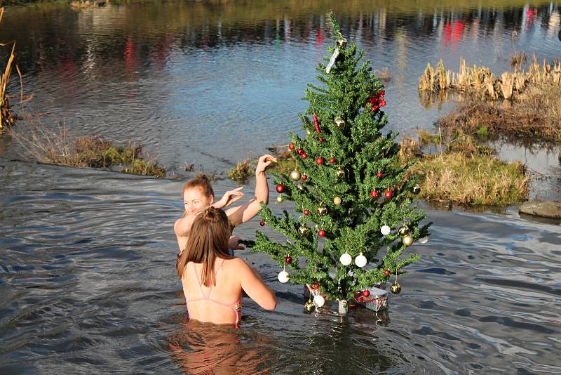 Jako v předchozích 36 letech, tak i letos se přesně v pravé poledne ponořilo do vody plumlovské přehrady nespočet otužilců. 24.12. 2019