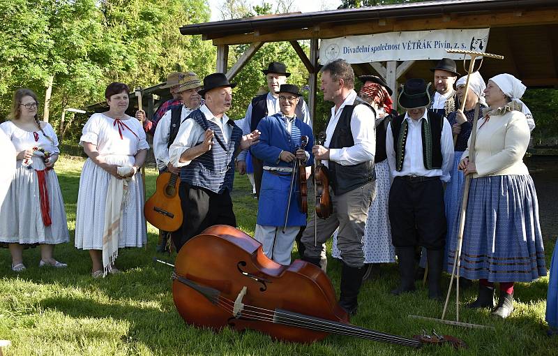 Parta pivínských recesistů si při tradičním sečení trávy zazpívala i zatančila. 29.5. 2021