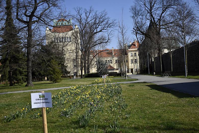 Nouzový stav a zákaz vycházení vylidnily centrum Prostějova. 27.3. 2020