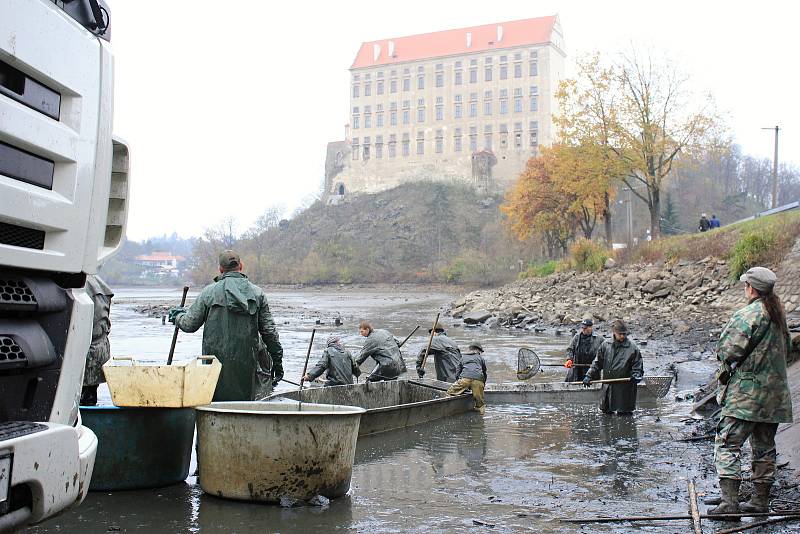 Výlov Podhradského rybníka v Plumlově - 2. listopadu 2019