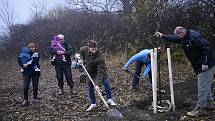 Východní část Prostějova, takzvaný cvikl v Čechůvkách, se stal místem kde se premiérově uskutečnila komunitní výsadba stromů. 13.11. 2021