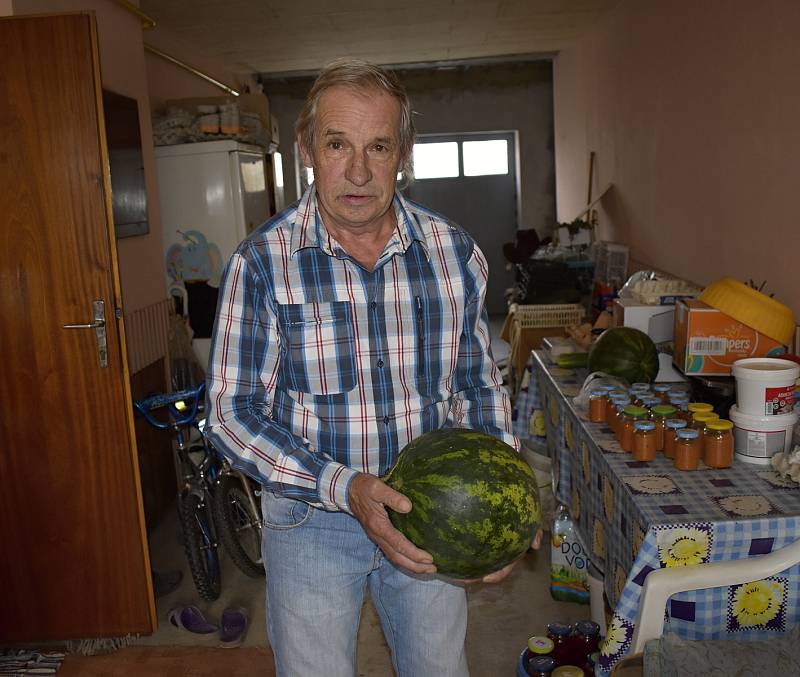 Antonín Hlavinka pěstuje melouny ve Služíně na zahradě.